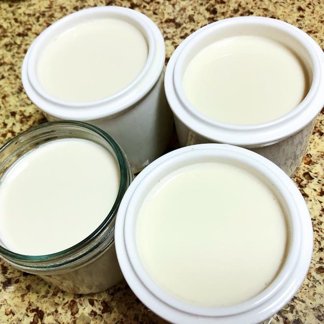 自制酸奶（健康方便）自制的酸奶可以搭配成很多美味的做法
