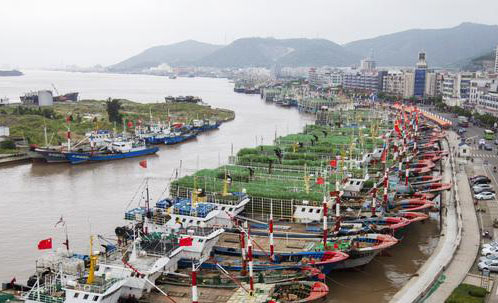 海岛姑凉