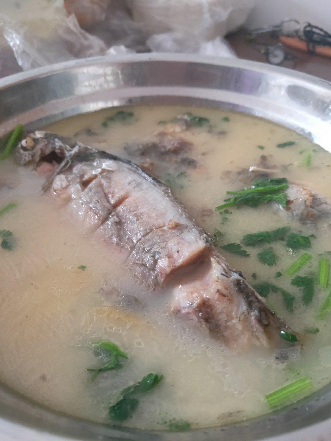 奶白鲫鱼汤