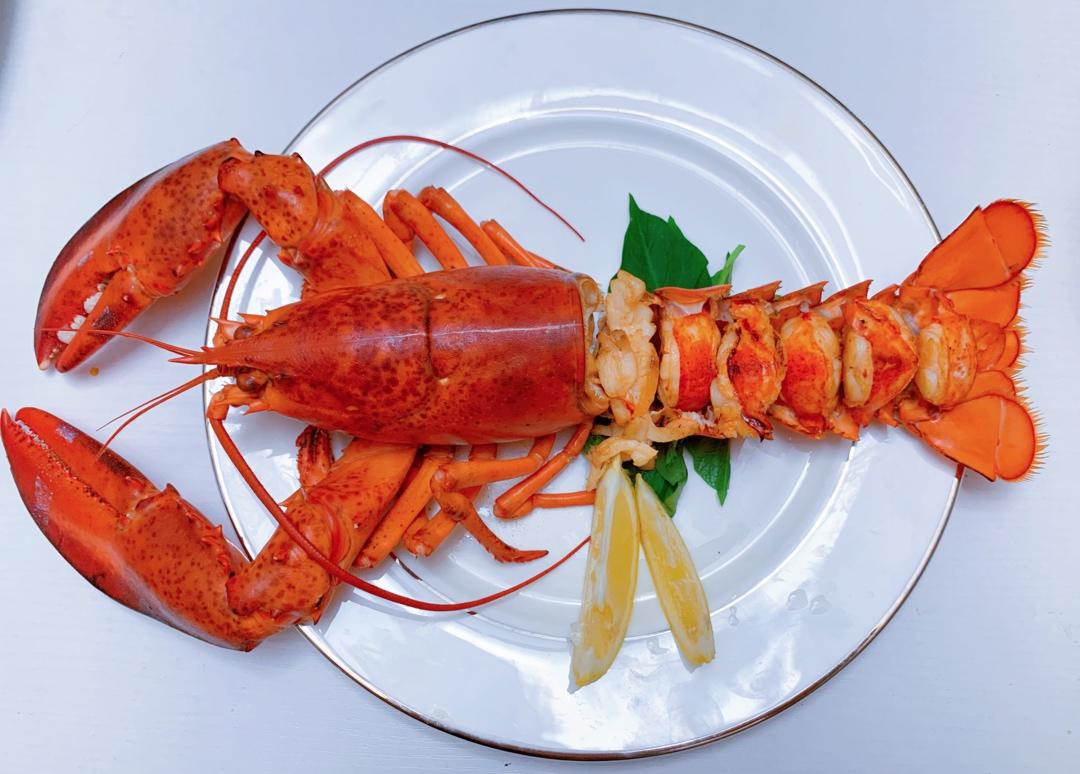 黄油波士顿龙虾