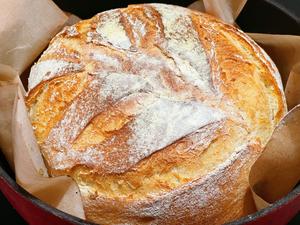 懒人橄榄油欧式面包的做法 步骤4