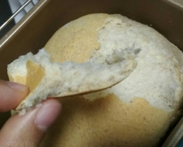 面包机版全麦面包（柏翠8500）