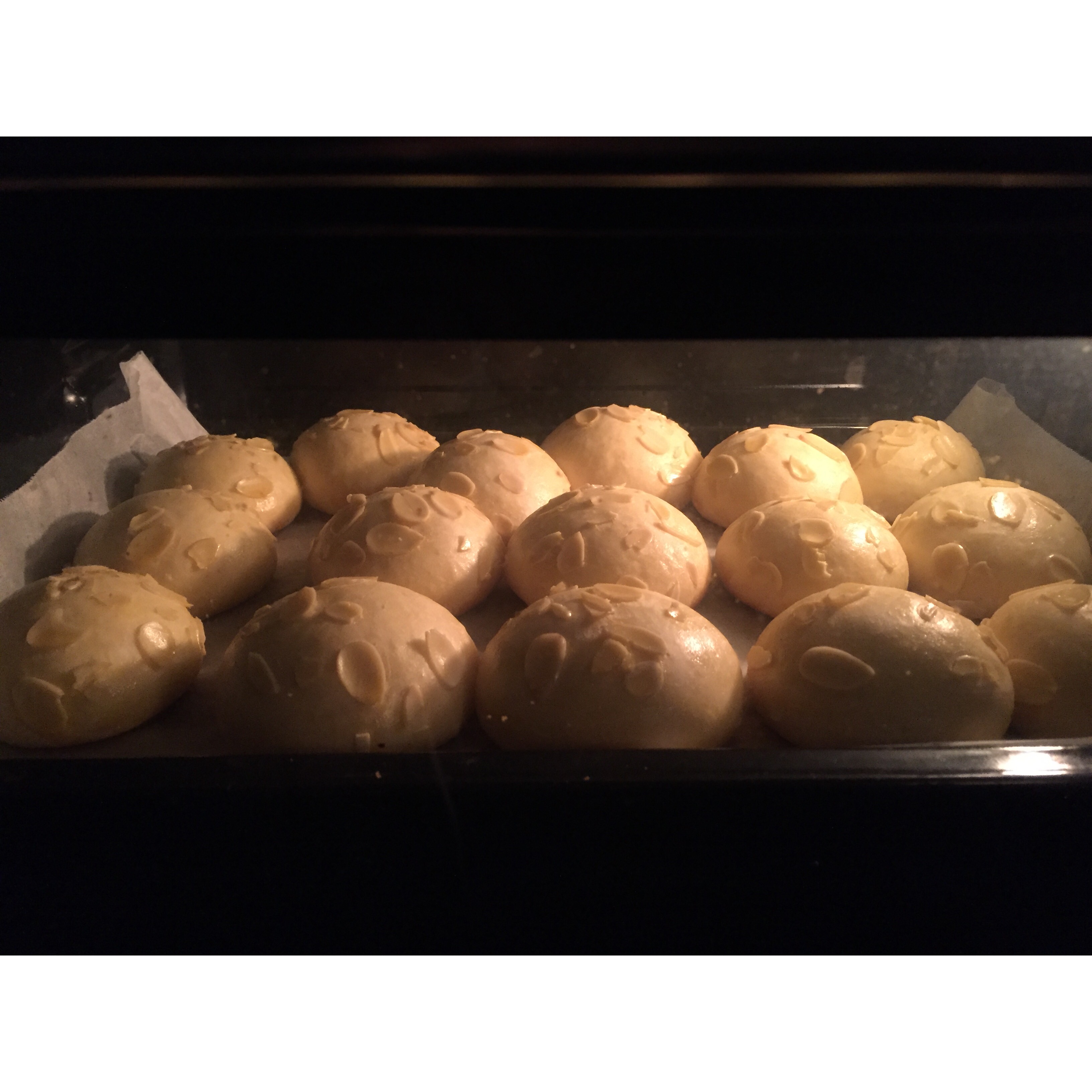 鲜奶油小餐包（一次发酵）