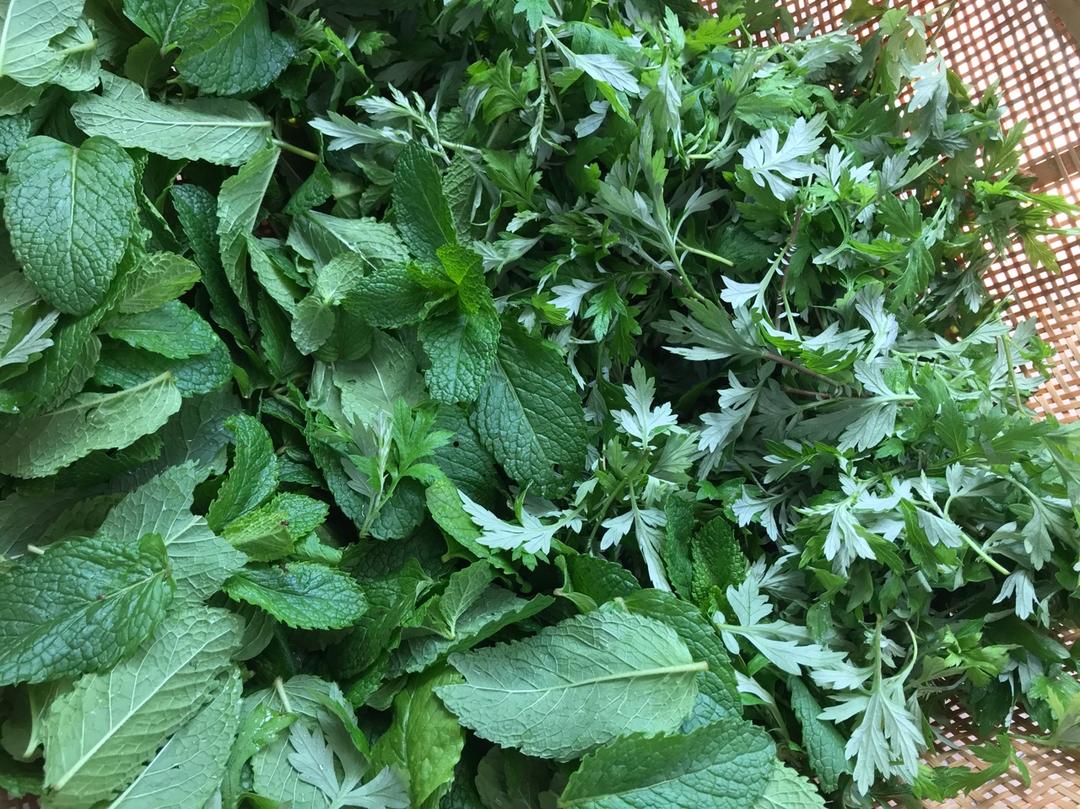 艾草薄荷膏