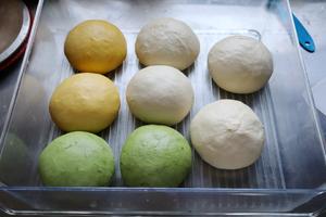 牛奶双色蜜豆包（大米面包不含麦麸）的做法 步骤13
