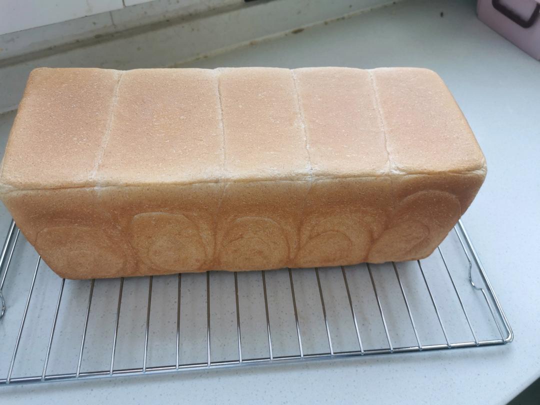 波兰种全麦吐司