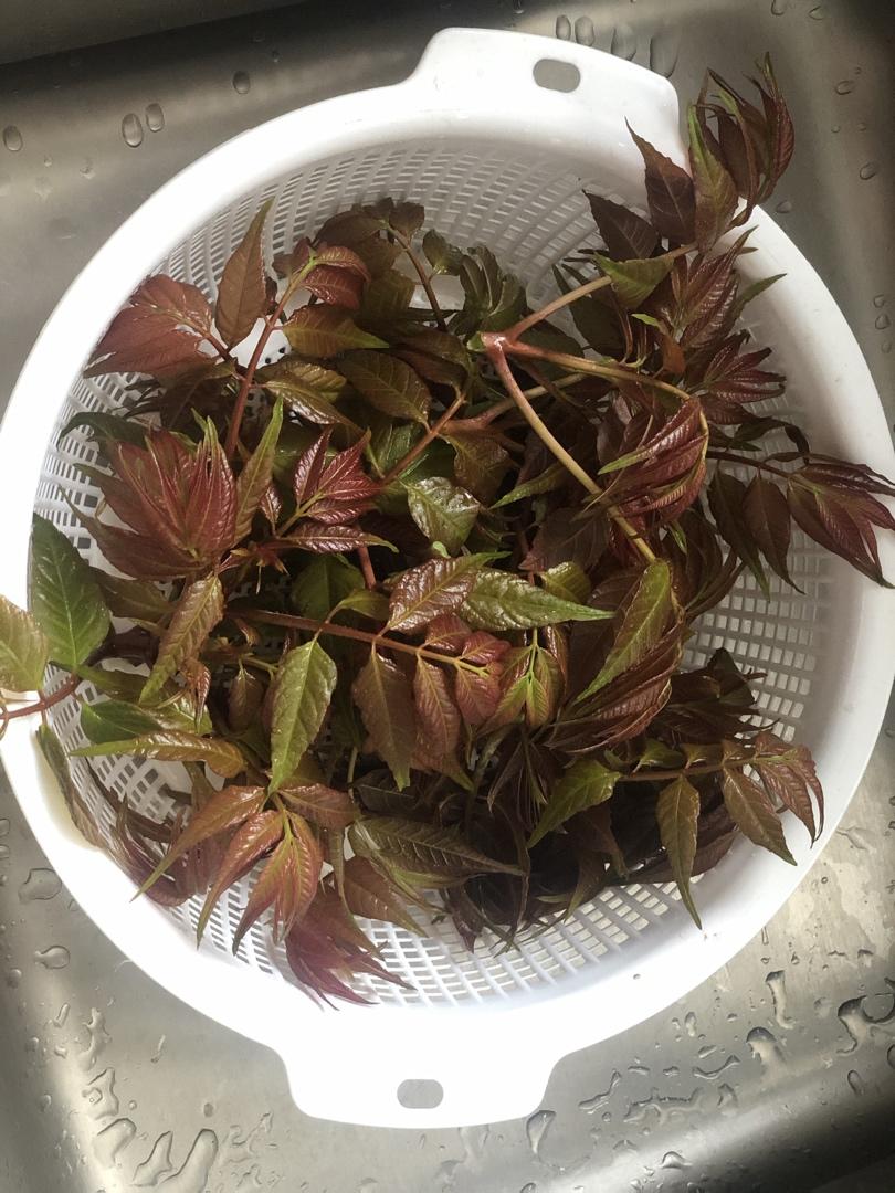 春天野菜香菜谱，七头一脑之一：香椿头炒鸡蛋