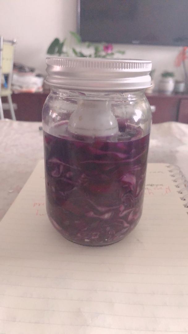 乳酸发酵酸菜丨健康·泡菜