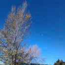 碧水青竹_pi9r的厨房