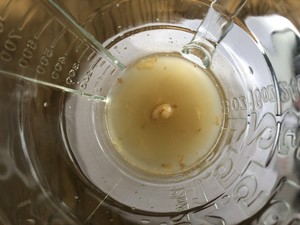 懒人-葡萄干天然酵母（矿泉水瓶）的做法 步骤7