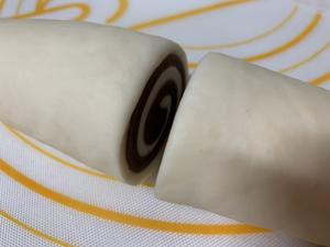 黑白配(^з^)-☆～双色奶香巧克力卷卷（花式馒头一次发酵上班族前晚准备早餐🥣）的做法 步骤6