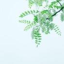 厨房小白进化史111