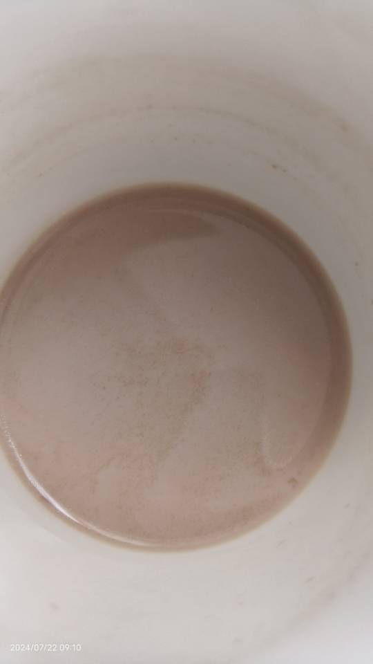 自制焦糖奶茶🍵零失败