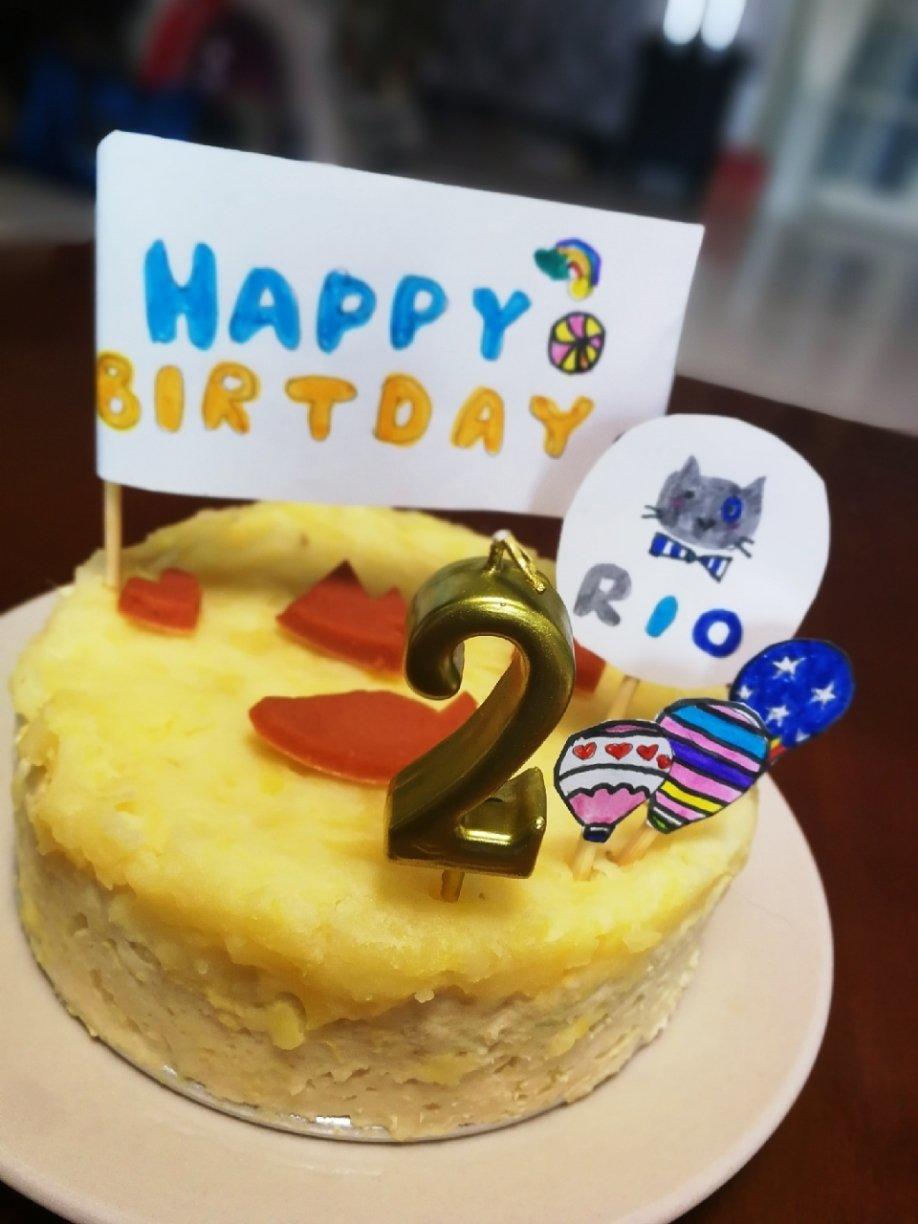 猫咪生日蛋糕←自制猫粮