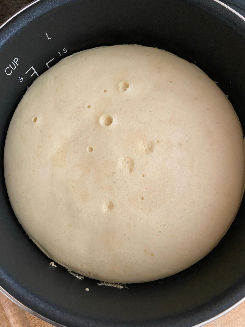 野生版电饭锅蛋糕