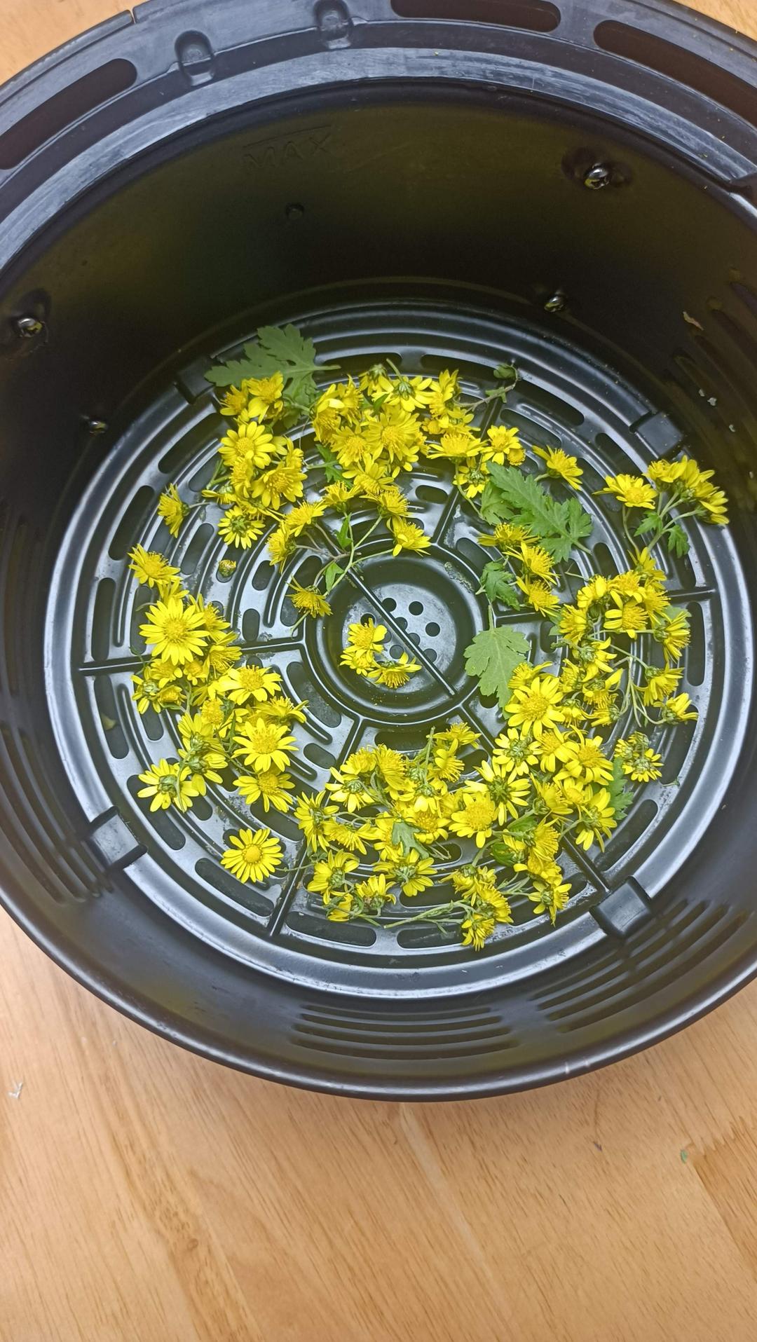自制野菊花茶(空气炸锅版)