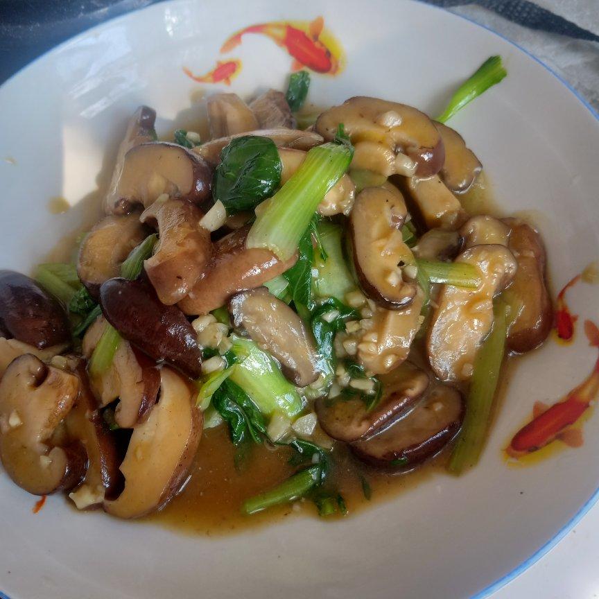 蚝油香菇油菜