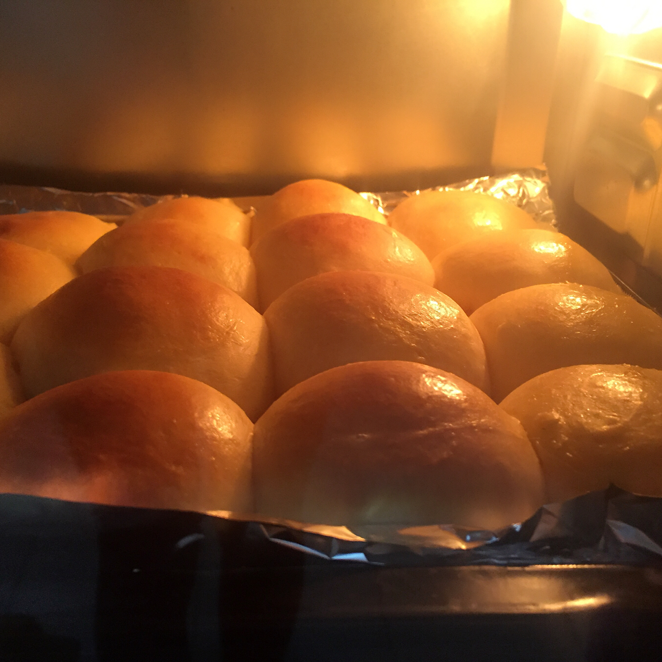 鲜奶油小餐包（一次发酵）