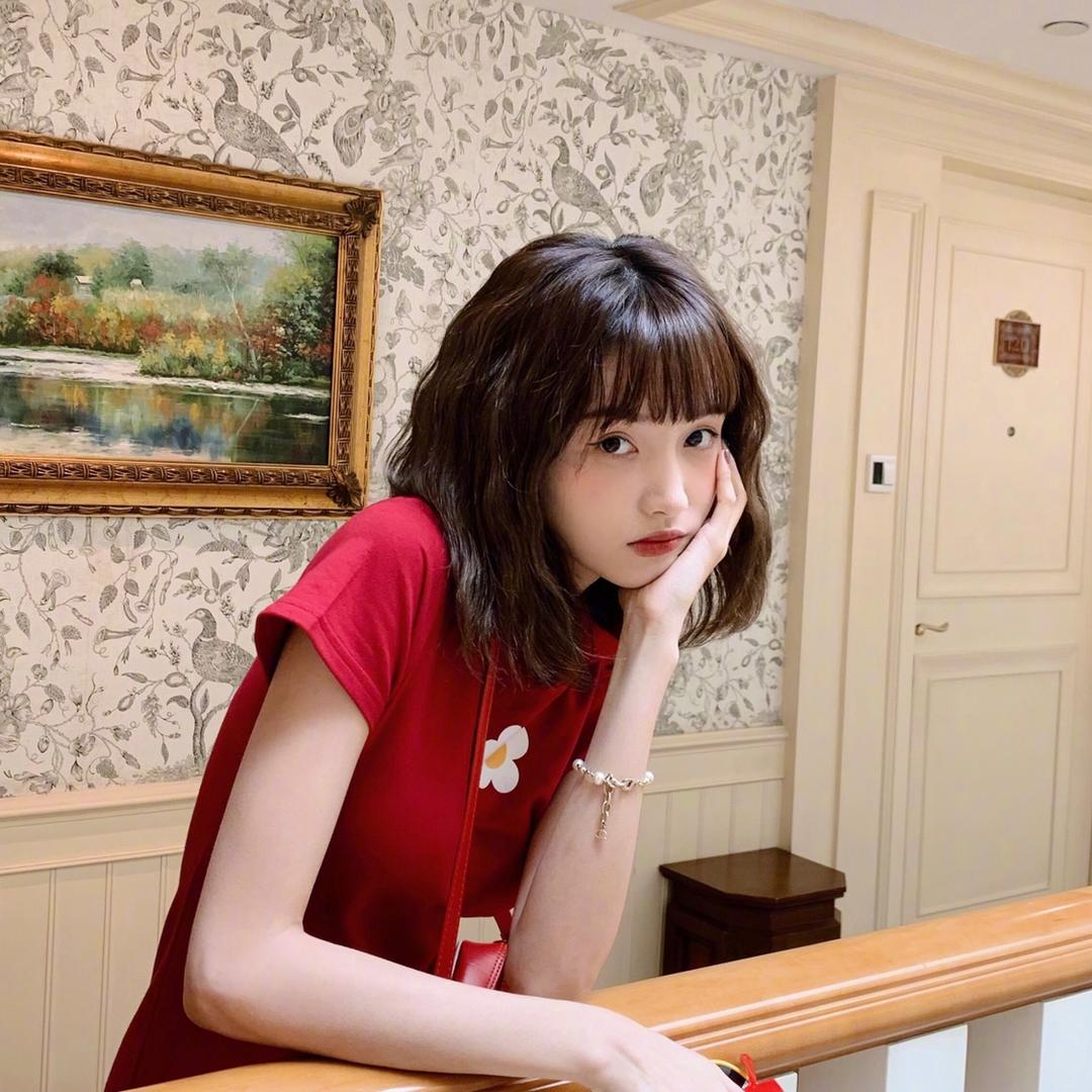 多肉小羊儿