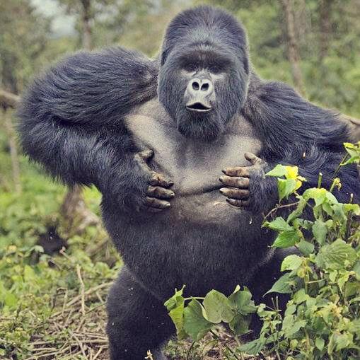 精致的煮煮男孩