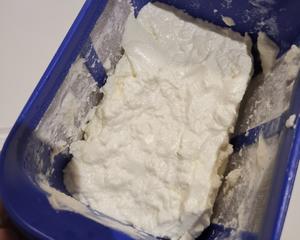 自制低卡新鲜奶酪 | 鲜凝乳 | 德国Quark | Fresh cheese 从此告别高脂肪的奶油奶酪的做法 步骤3