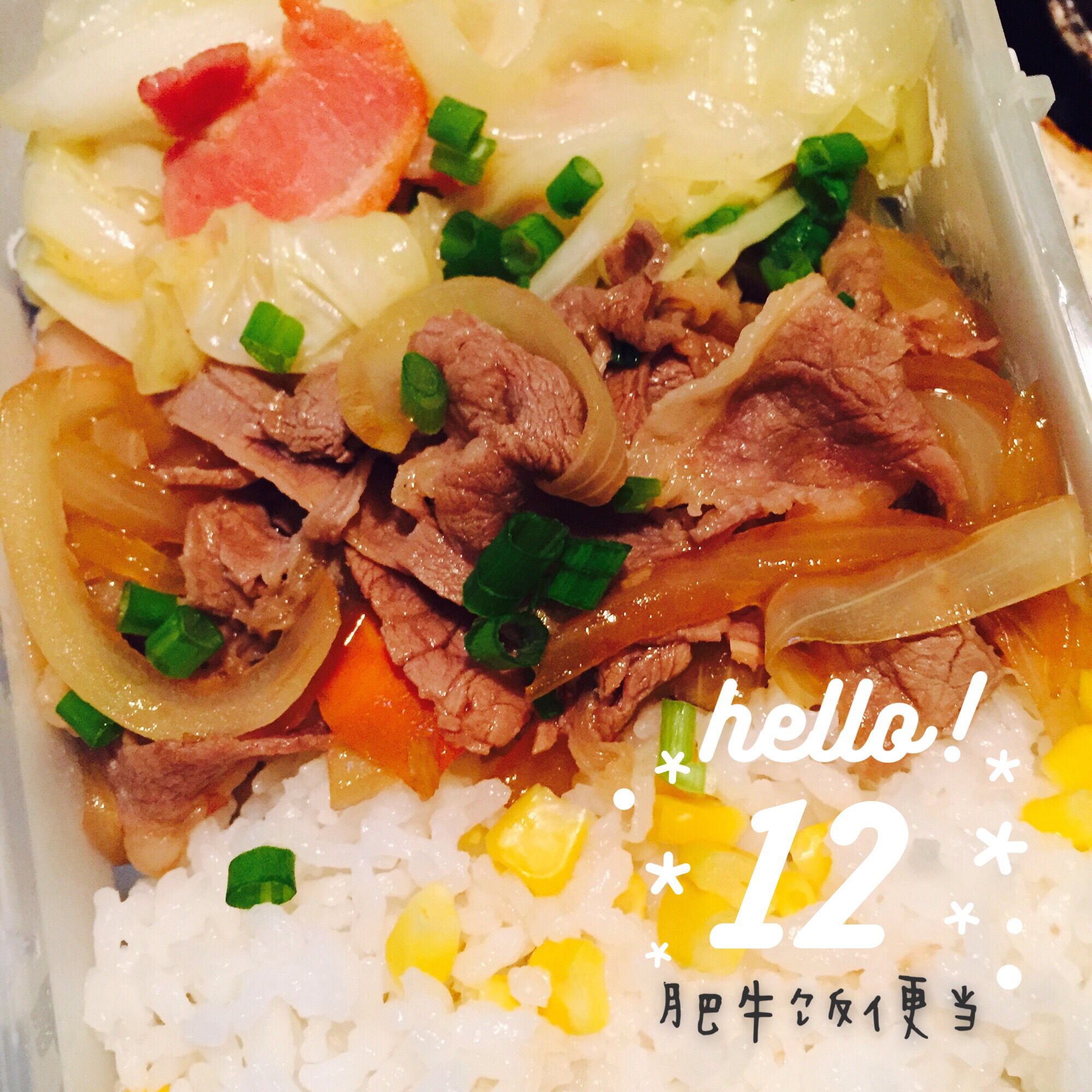 洋葱肥牛饭