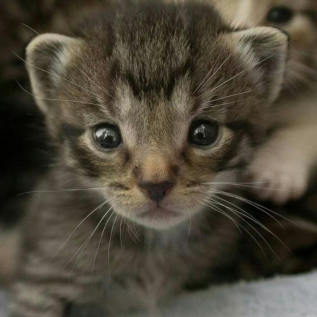 手机用户5117_qx1f