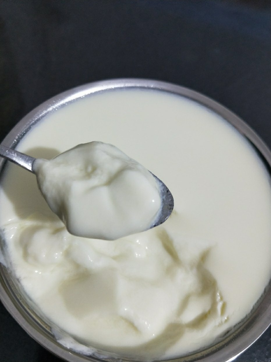酸奶的6种做法