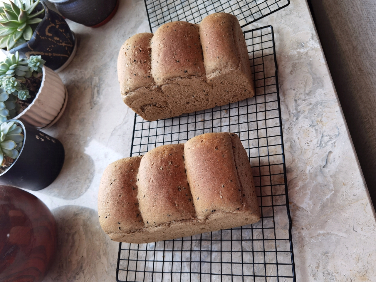 波兰种全麦面包🍞