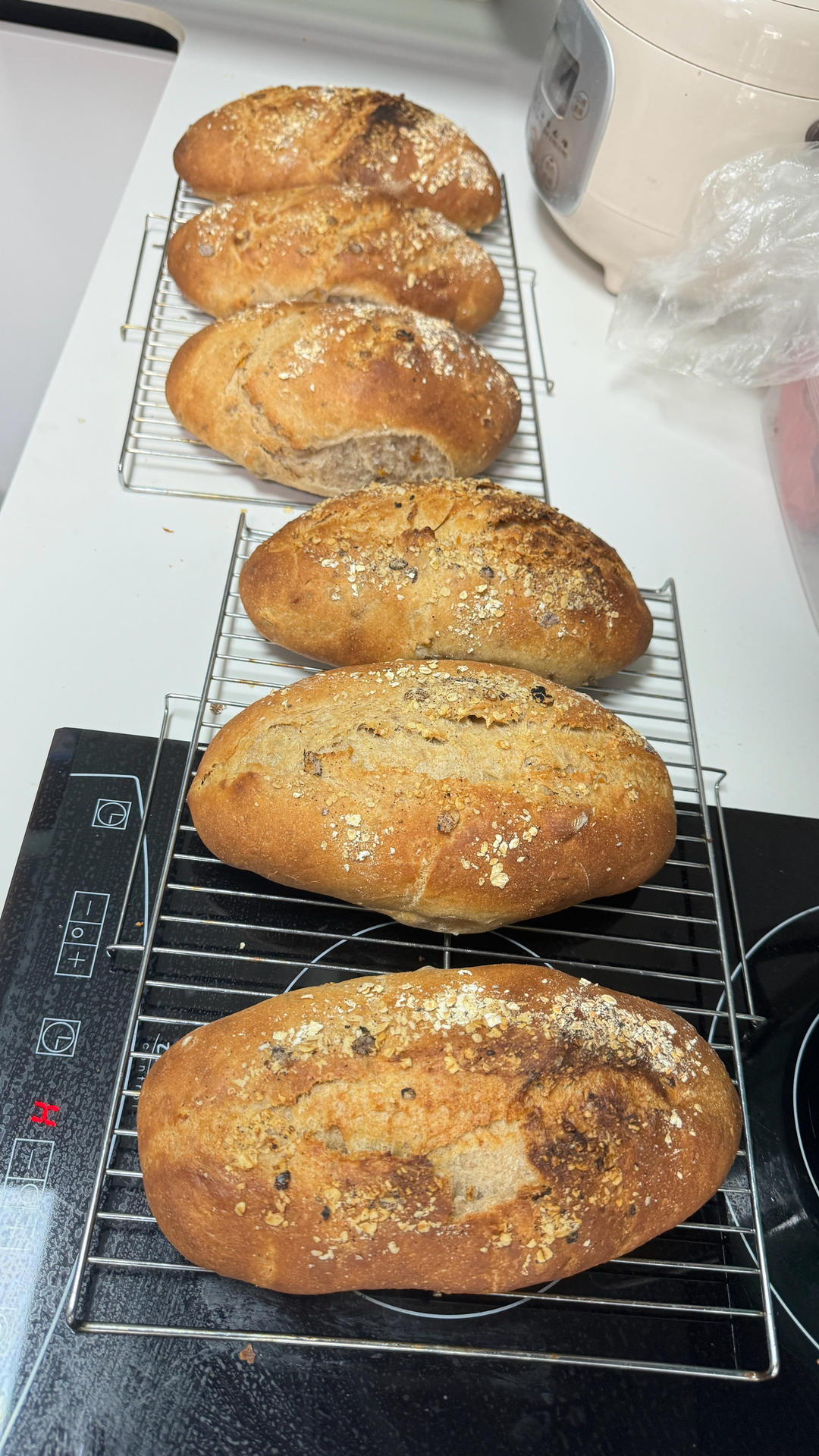 香橙核桃软欧包