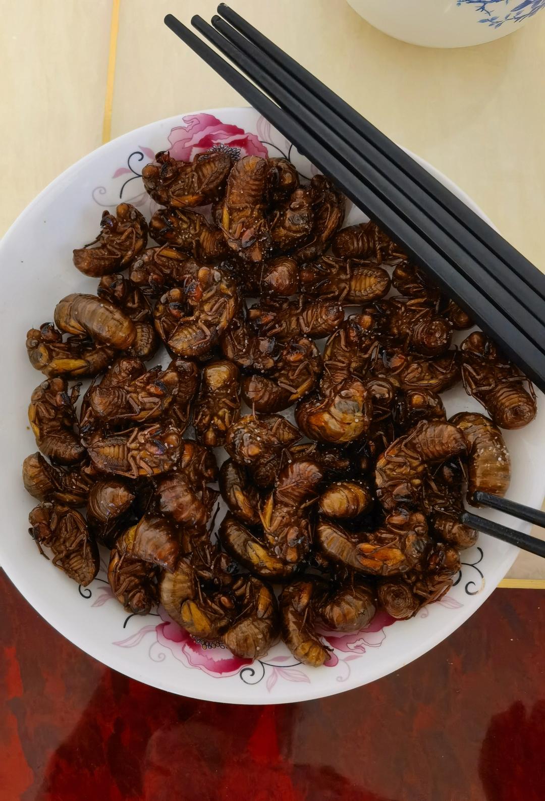 空气炸锅知了猴