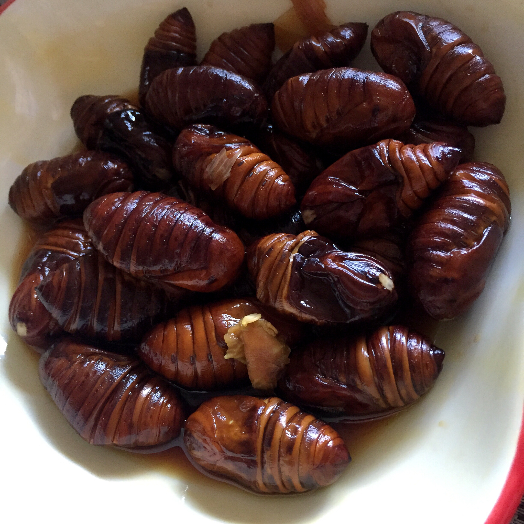 ceefa做的盐水煮蚕蛹盐水煮蚕蛹小吃首页登录注册作品