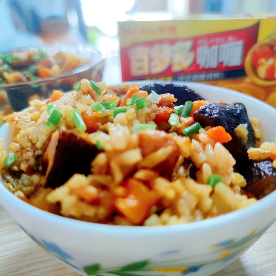 快手鸡肉蔬菜咖喱焖饭的做法