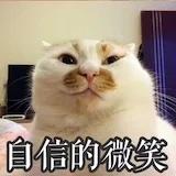 蛋蛋的橘橘
