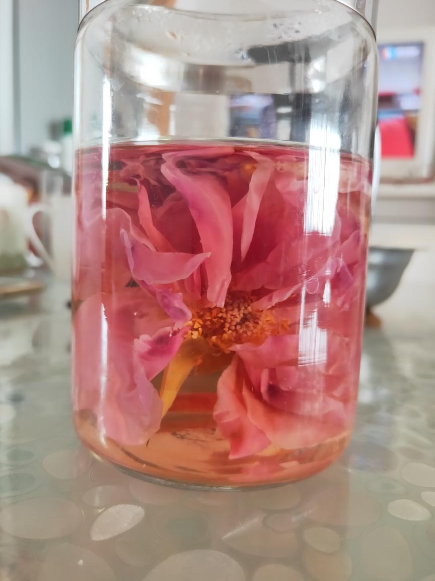 玫瑰花冠的做法步骤图 玫瑰花冠怎么做好吃 Coco妈小小厨 下厨房