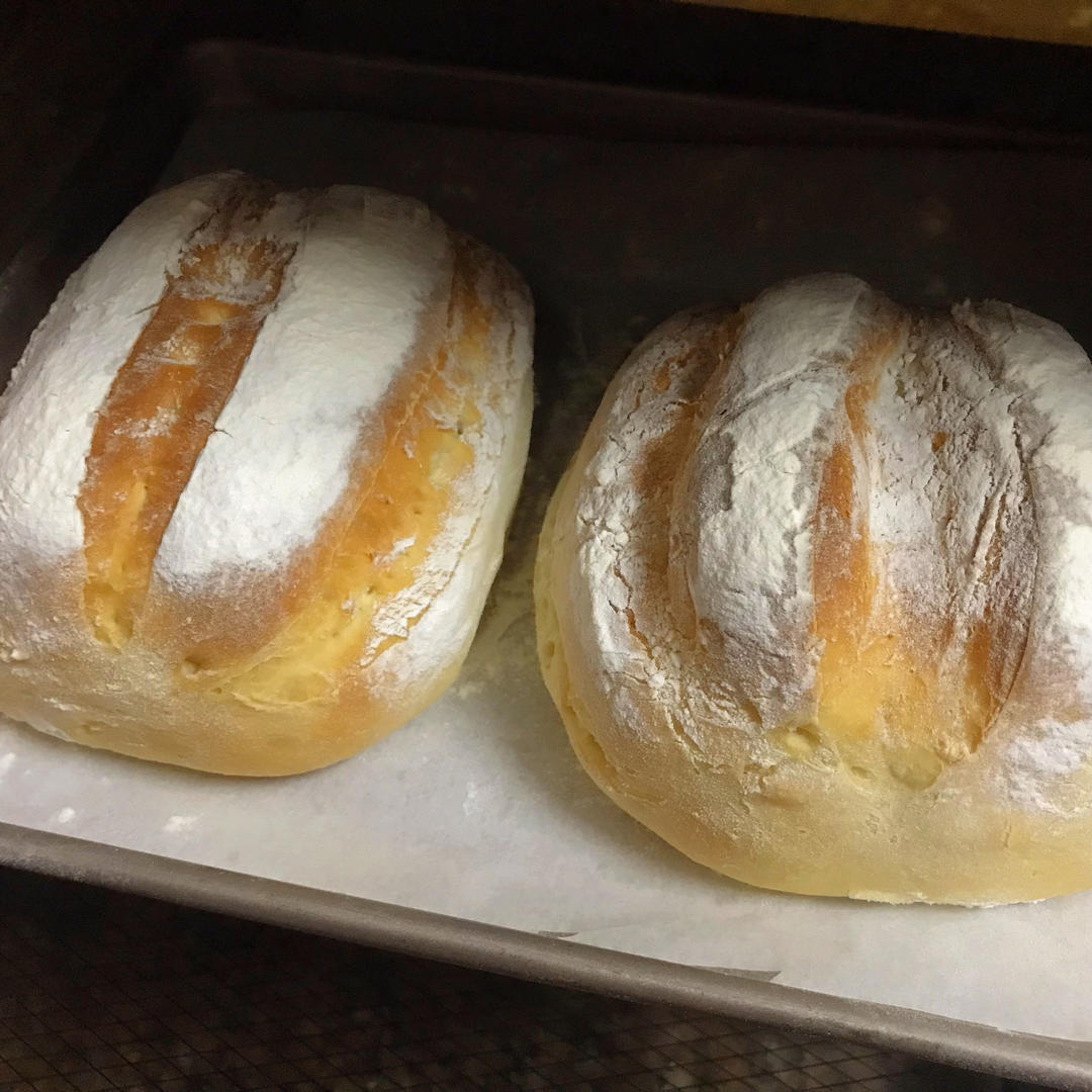 像吃海绵蛋糕的双倍特浓牛奶哈斯