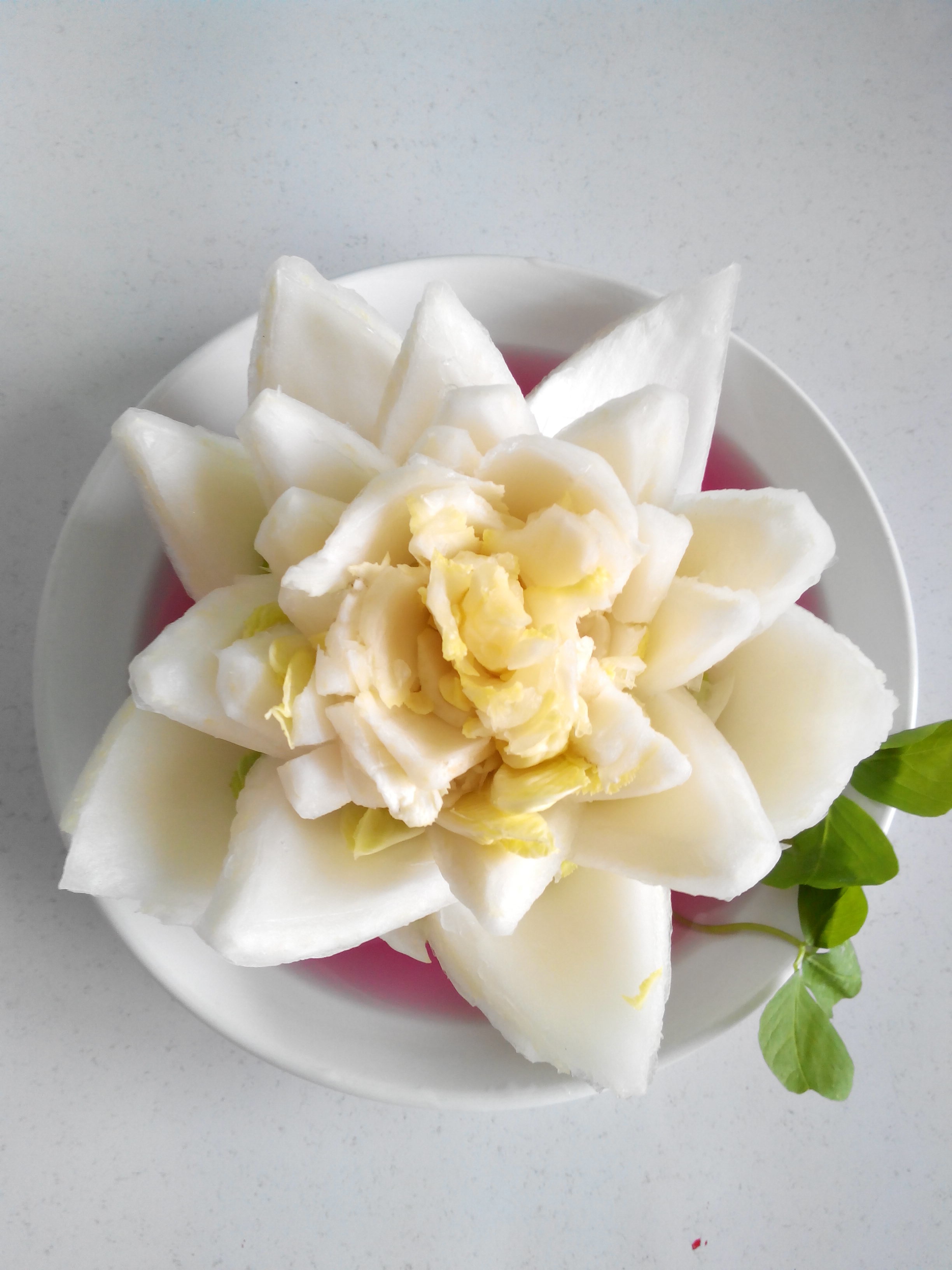 太阳每天都是新的w做的白菜莲花