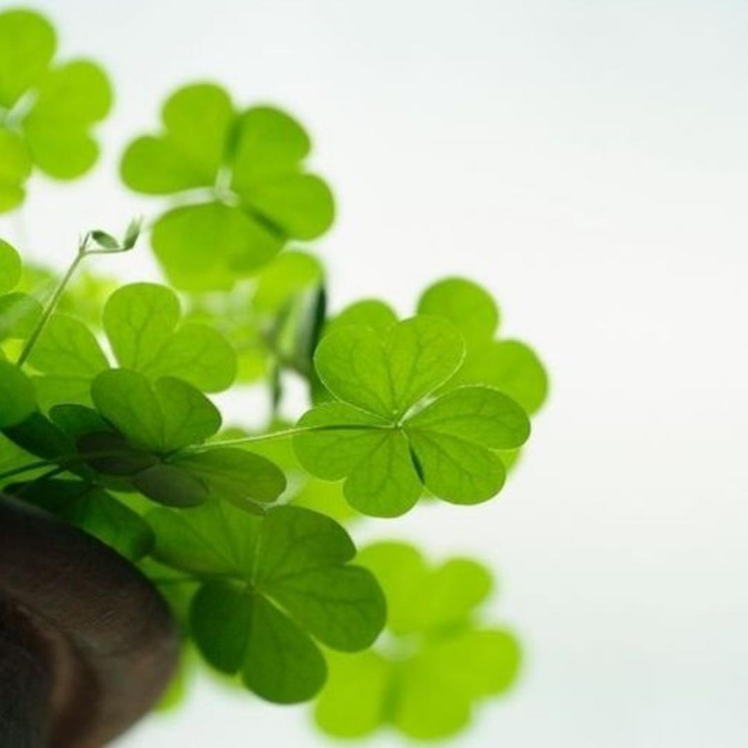 裕果妈的小厨房