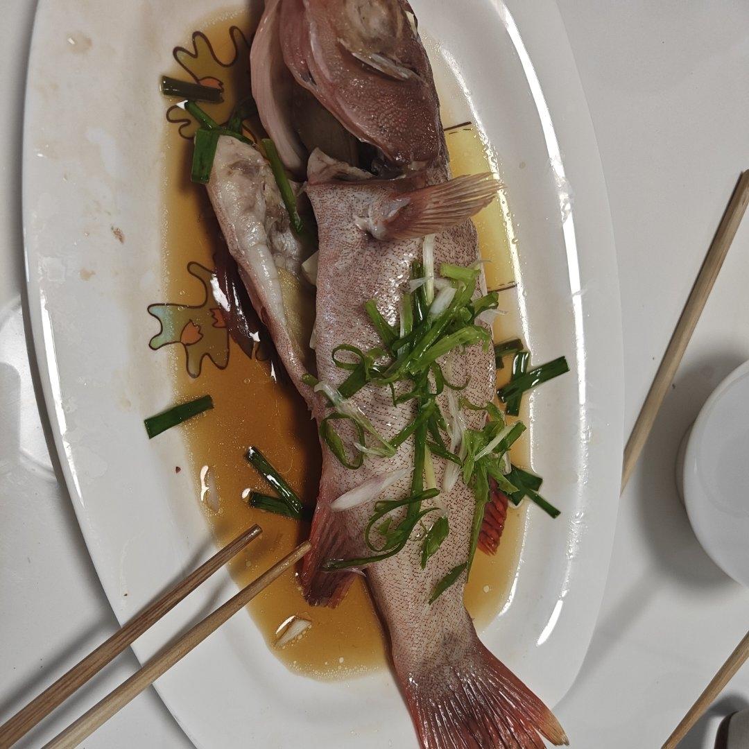 【0526】清蒸东星斑（含蒸鱼豉油做法）  <302小厨房>