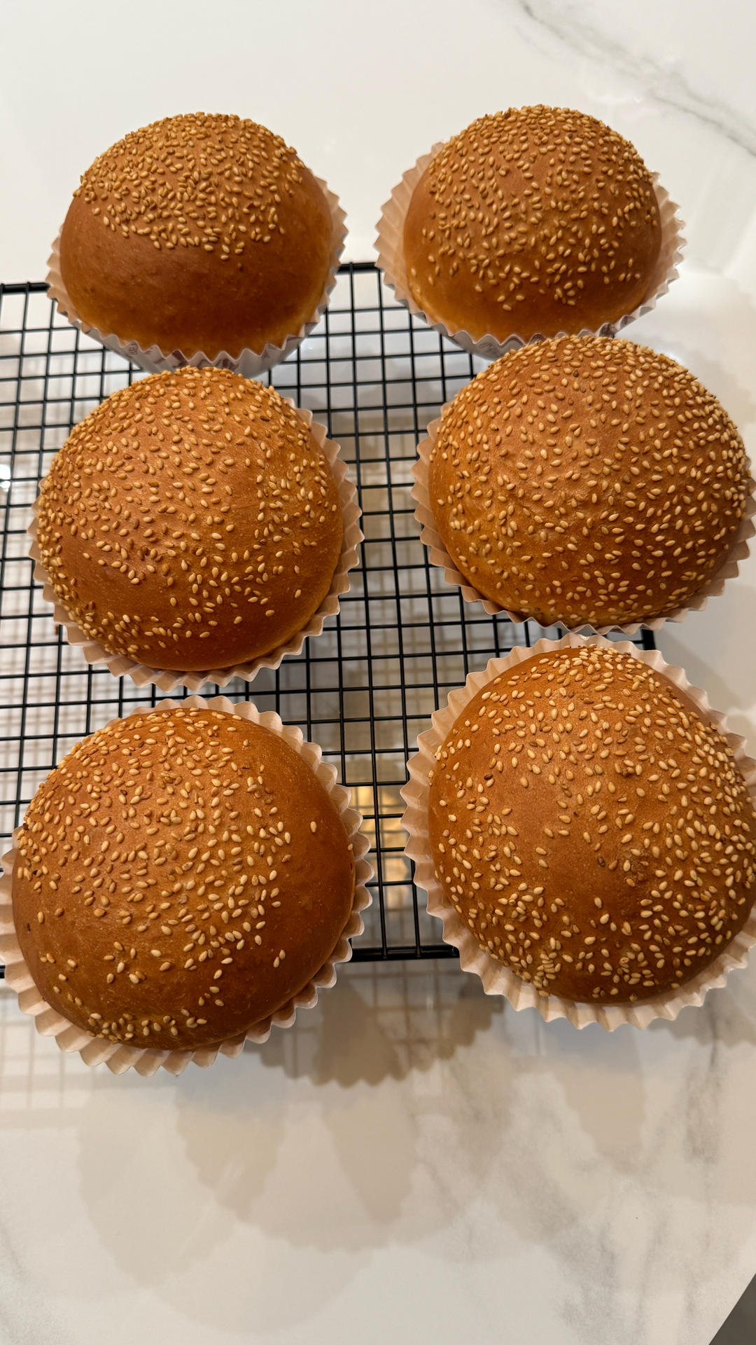 超级无敌简单的汉堡坯