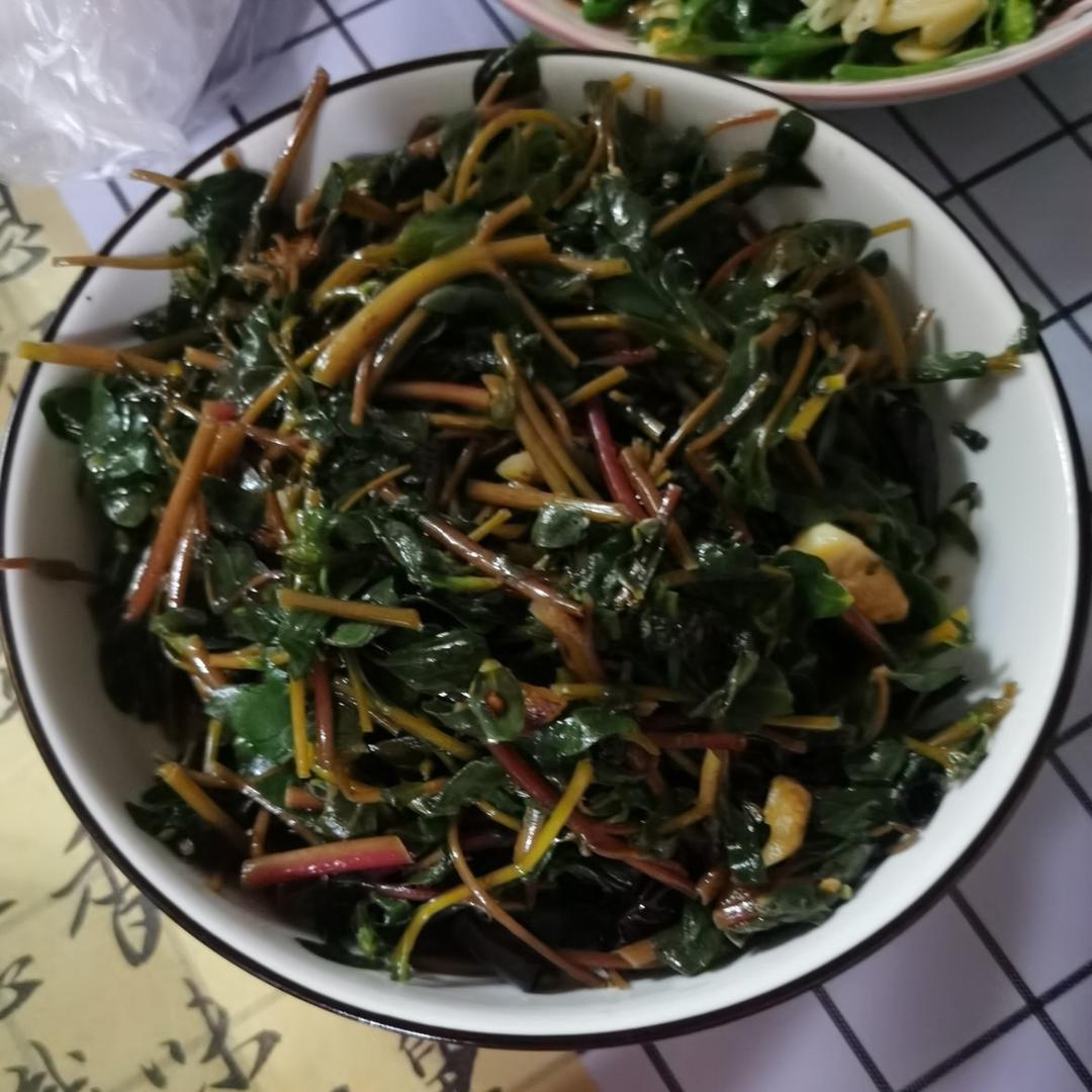 爆香马齿苋