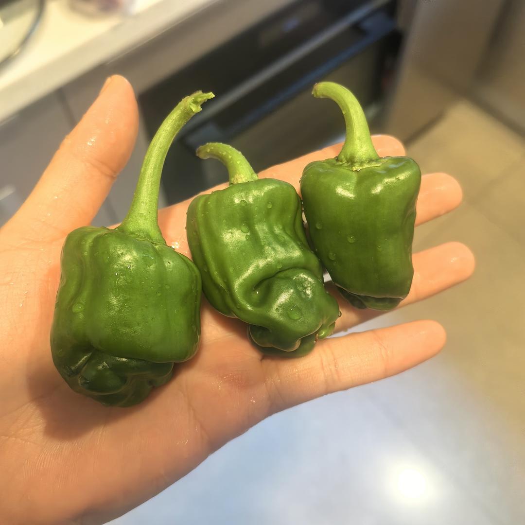 韩式拌饭·简易快手