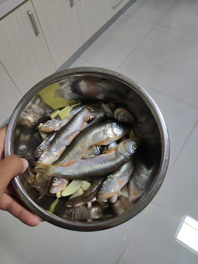 【油炸野生马口鱼的做法步骤图,怎么做好吃】腿短的大长腿_下厨房