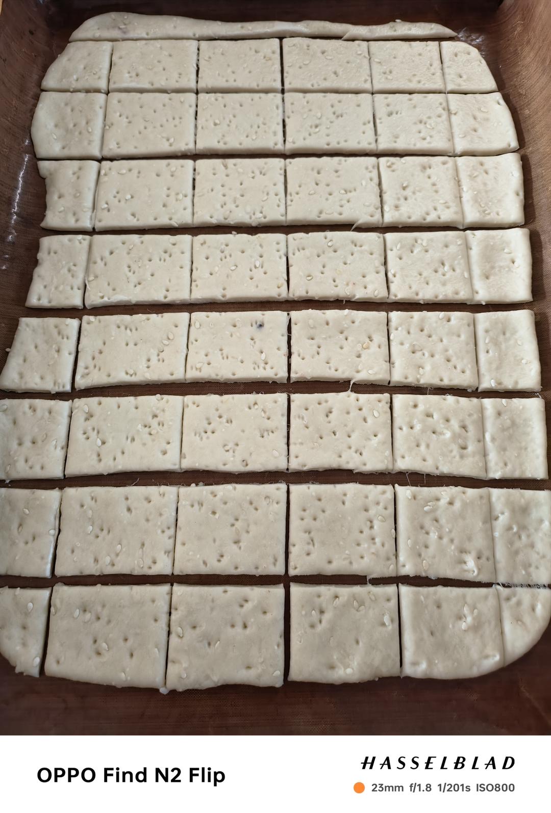 鲁邦弃种【香葱苏打饼干】