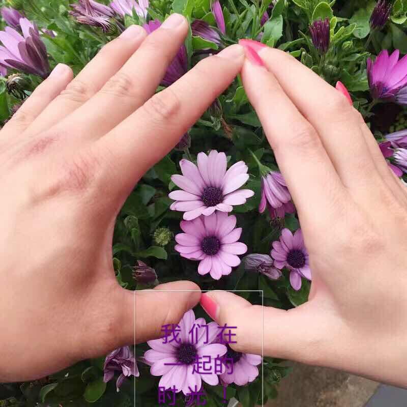 我的汤汤