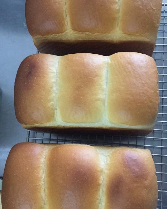 【北海道吐司】体验经典-妃娟100%中种，冷藏冰种的美味