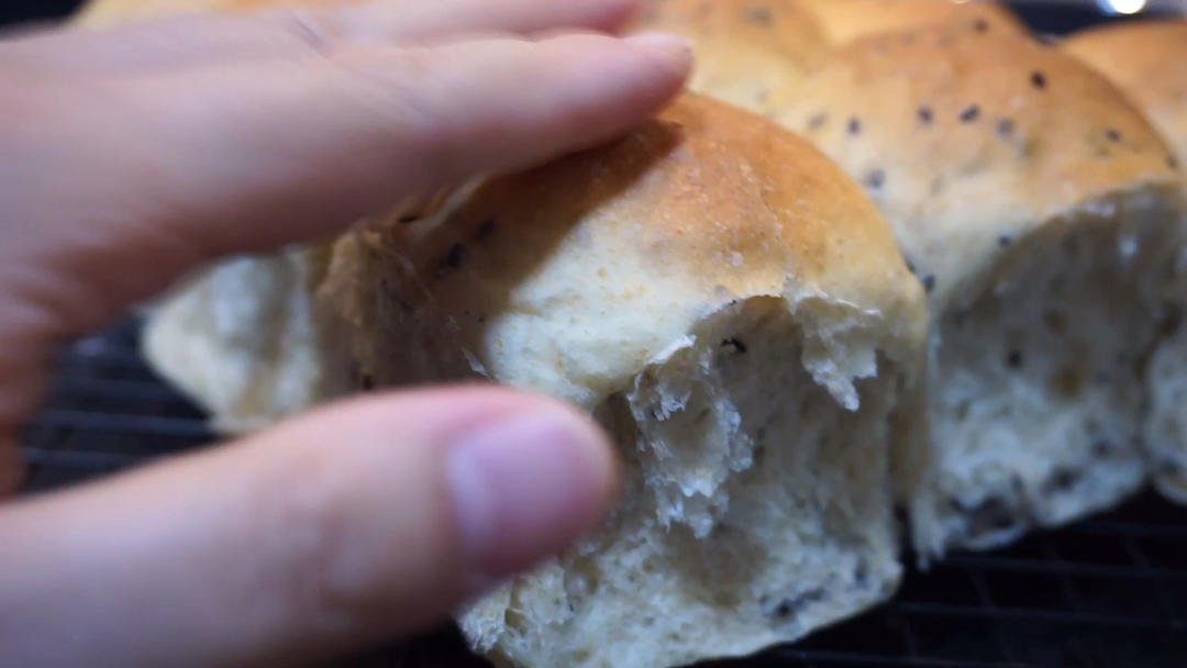 波兰种全麦面包🍞