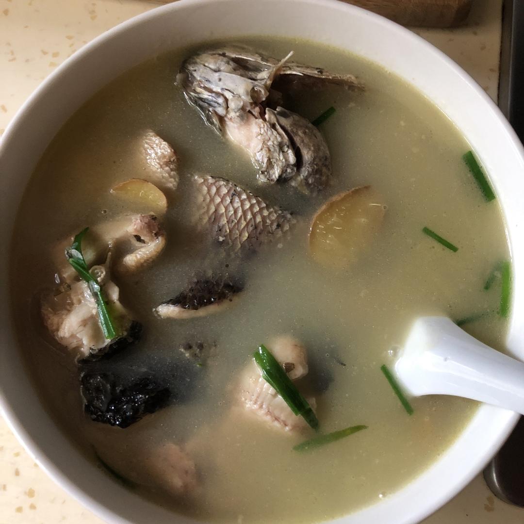 黑鱼汤