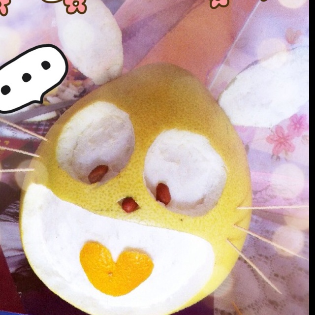 顽皮柚子龙猫