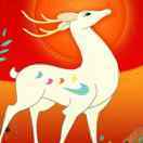 不爱做饭的加菲